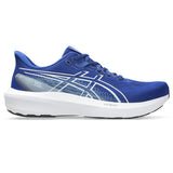 ASICS GT-1000 15 | Herren
