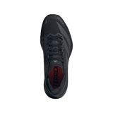 Adidas Terrex Agravic GTX 2 | Herren