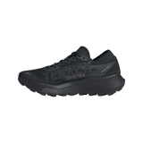 Adidas Terrex Agravic GTX 2 | Herren